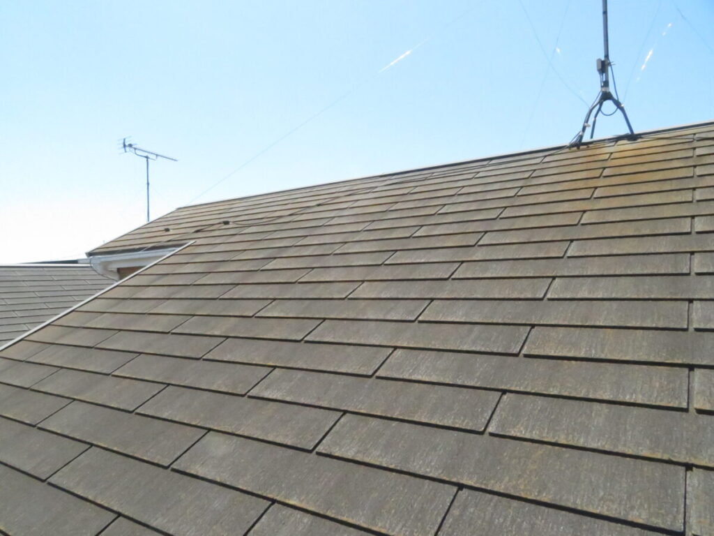 屋根コケやカビ