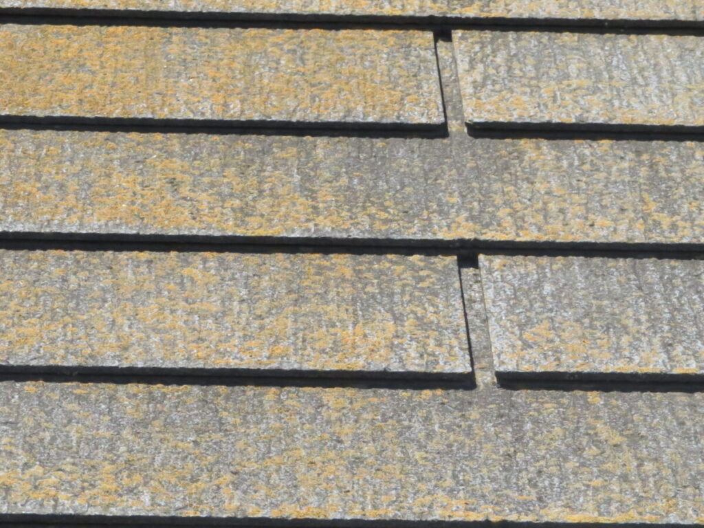 屋根コケやカビ