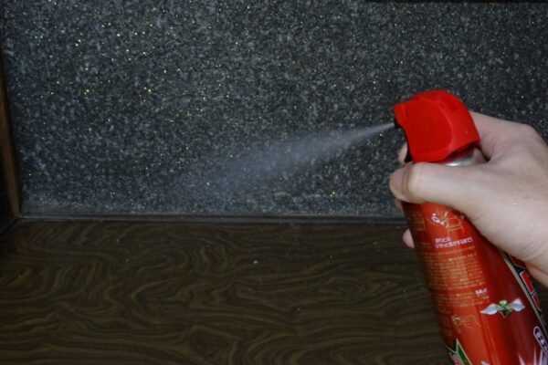 シロアリ被害を防ぐ!さいたま市の駆除業者が教える方法6選!-12