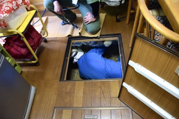 シロアリ被害を防ぐ!さいたま市の駆除業者が教える方法7選!-1