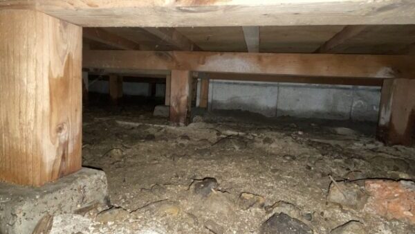 シロアリ被害を防ぐ!さいたま市の駆除業者が教える方法6選!-9