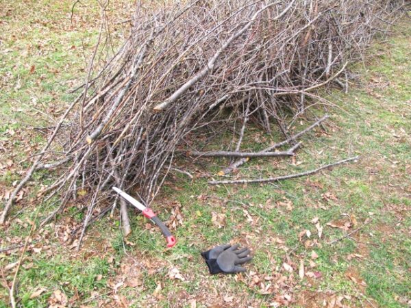 シロアリ被害を防ぐ!さいたま市の駆除業者が教える方法6選!-4