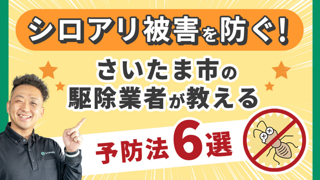 シロアリ被害を防ぐ!さいたま市の駆除業者が教える予防法6選