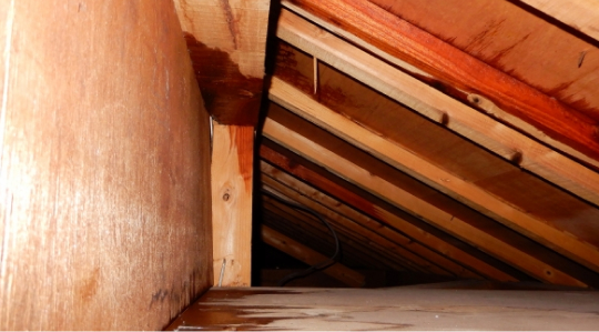 雨漏りで下地まで傷んでいる