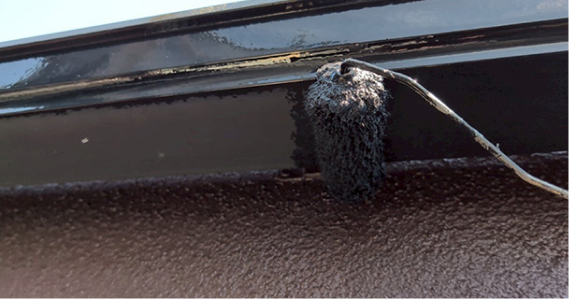 付帯部の色選び