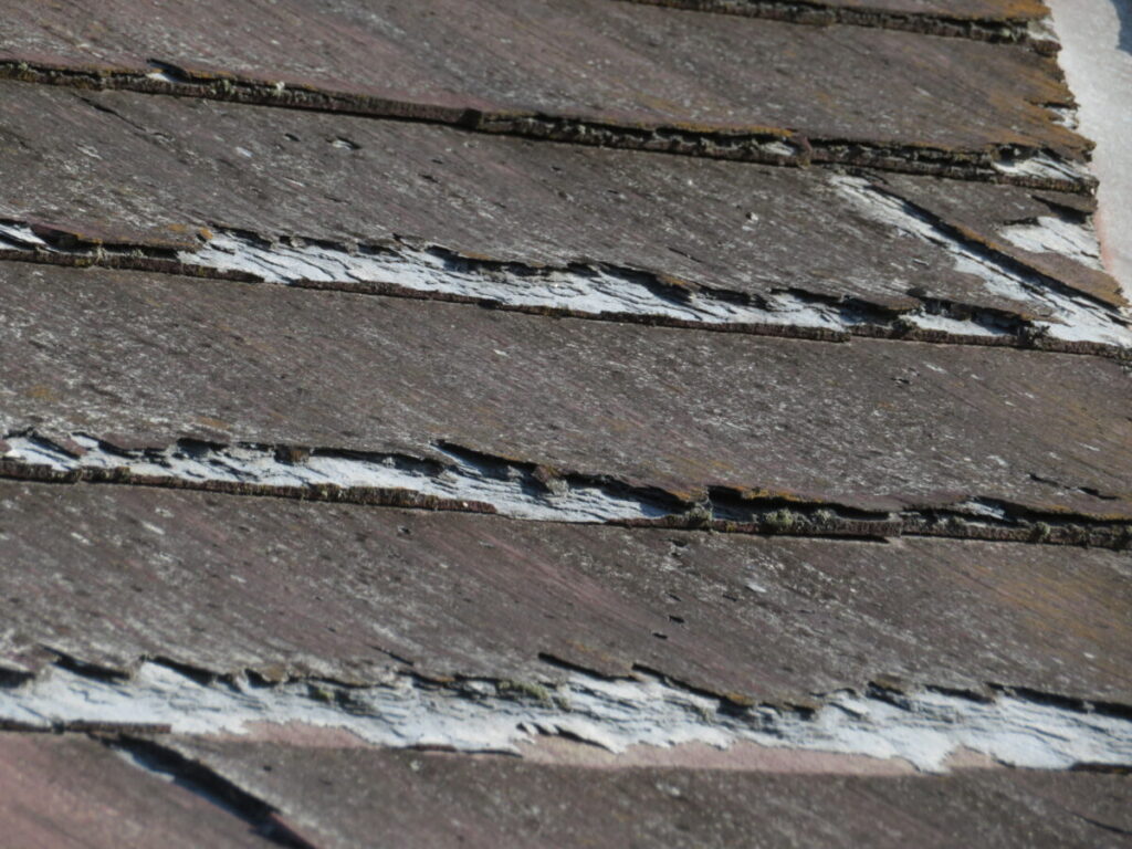 コロニアルネオ1