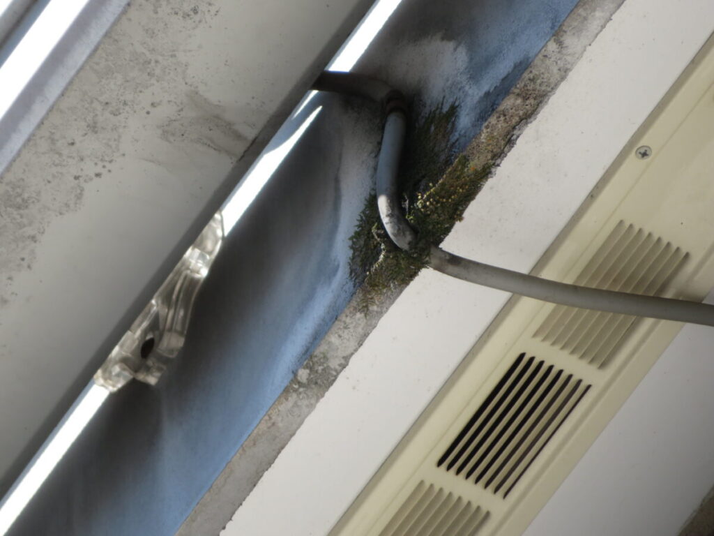 O様|破風板施工前