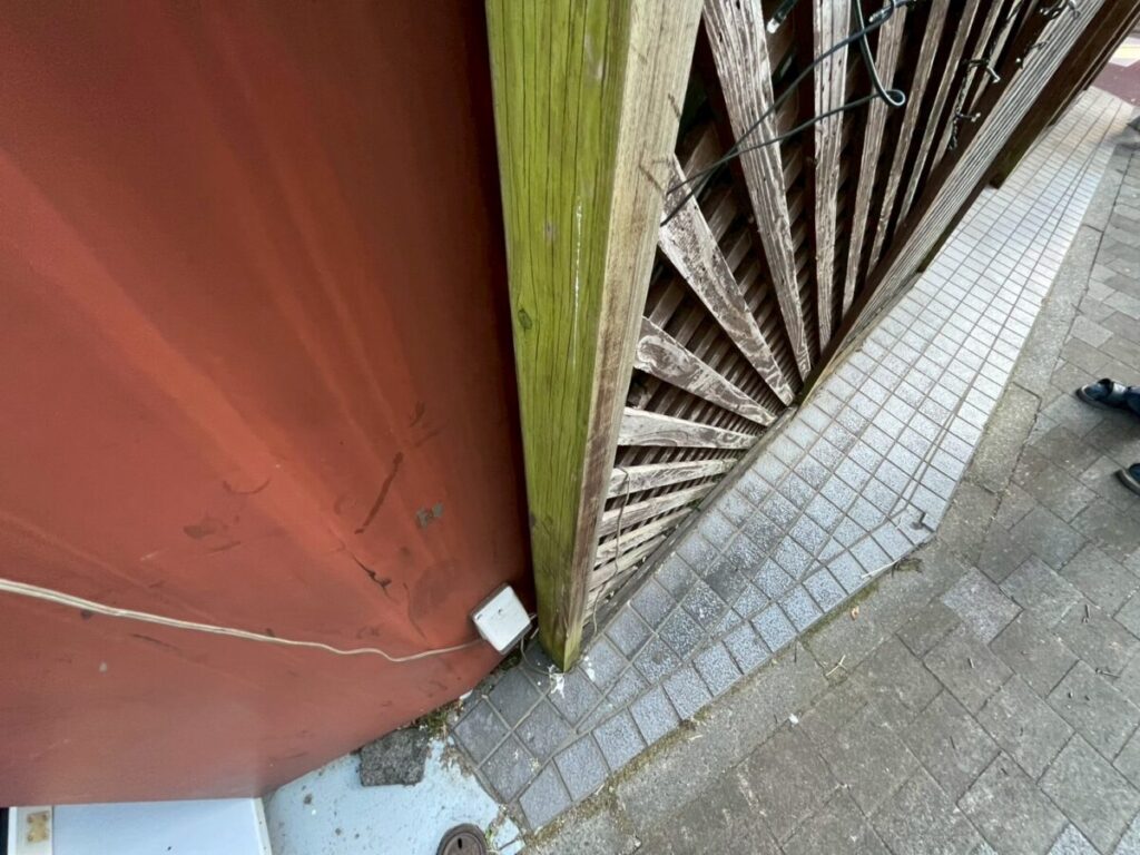 フェンスのコケ