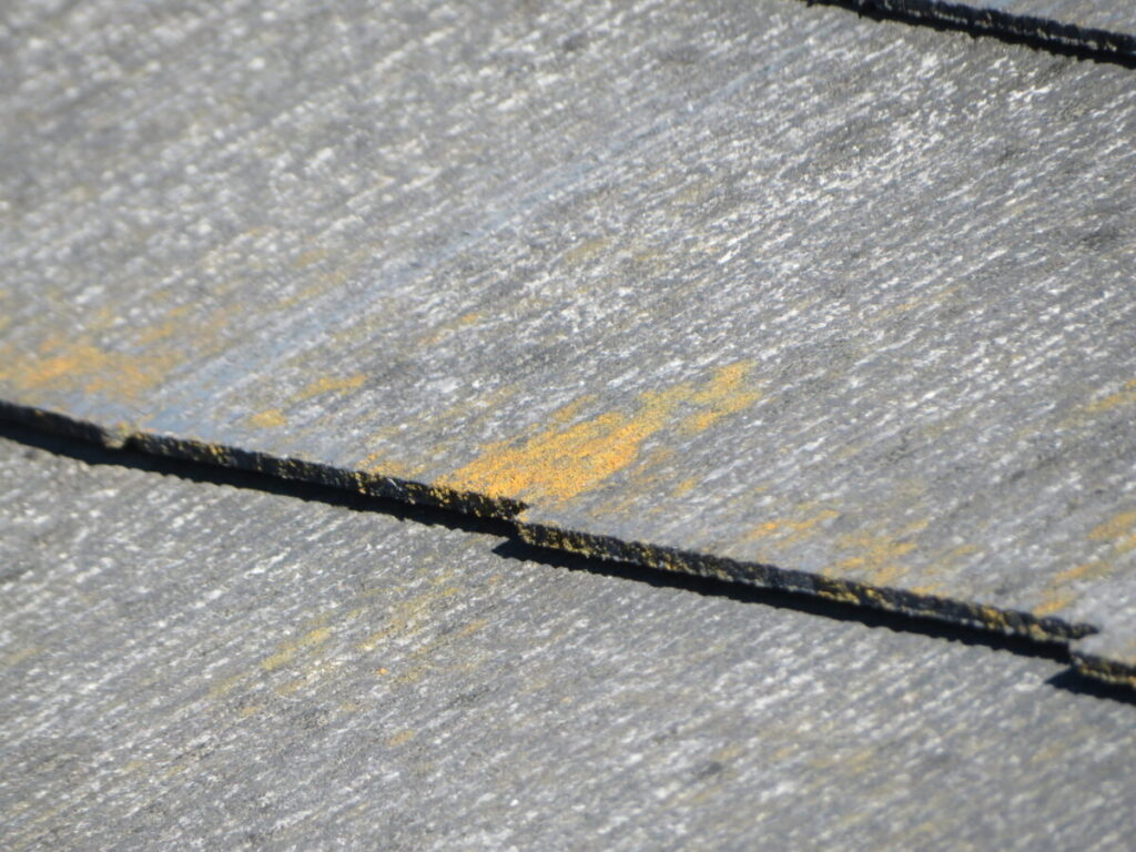 施工前屋根苔の発生