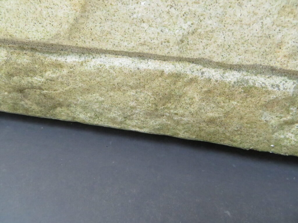 外壁の劣化コケやカビの発生