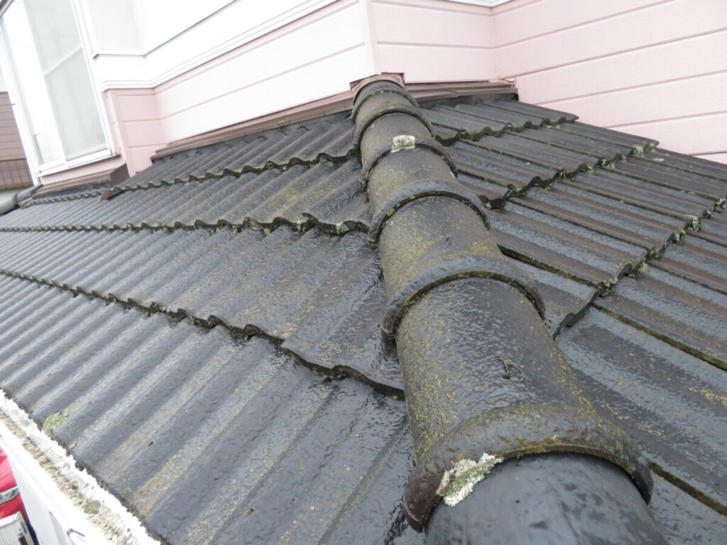 屋根の苔やカビ