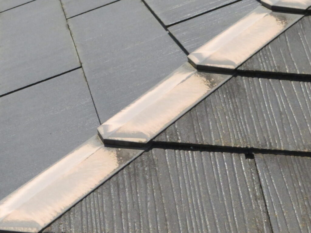 屋根 コケやカビが発生