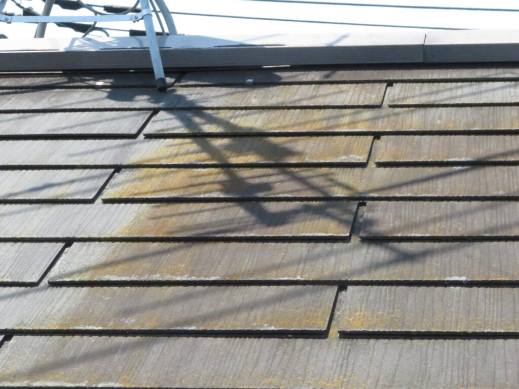 屋根 コケやカビが発生