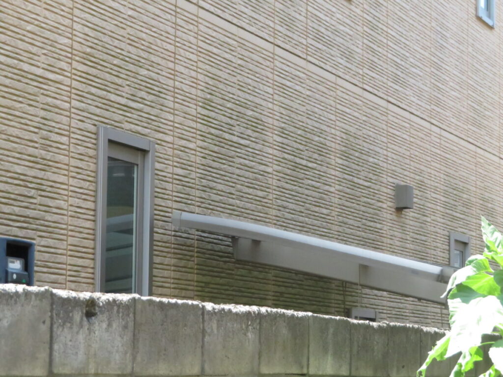 外壁 コケやカビが発生