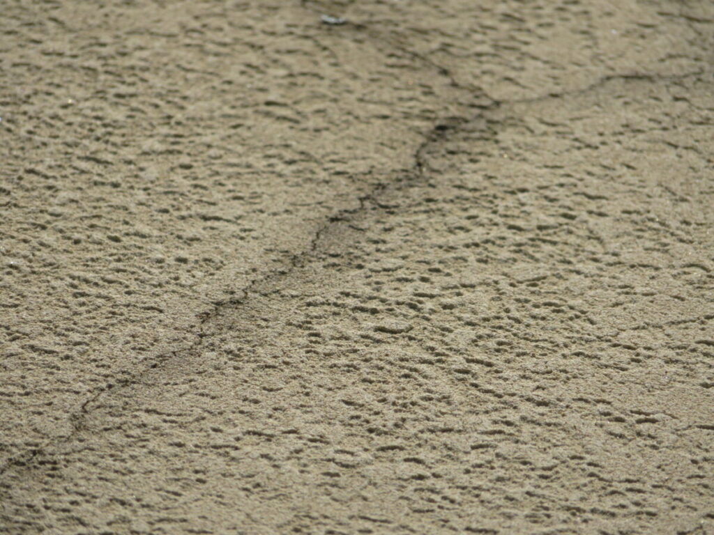 外壁のクラック