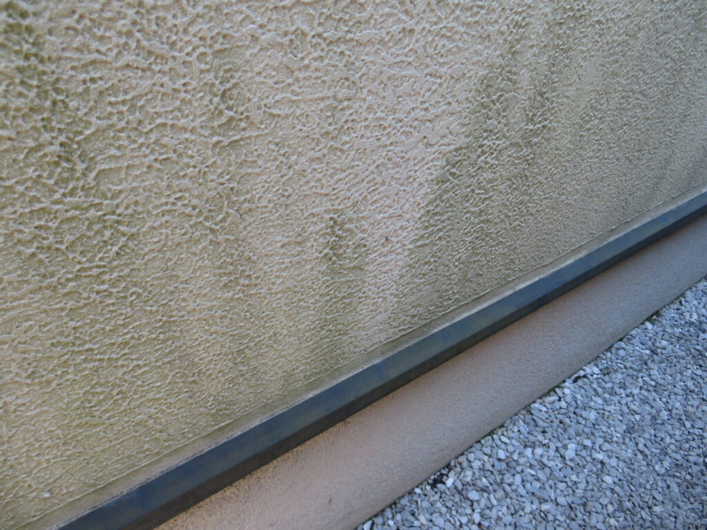 外壁の苔やカビ