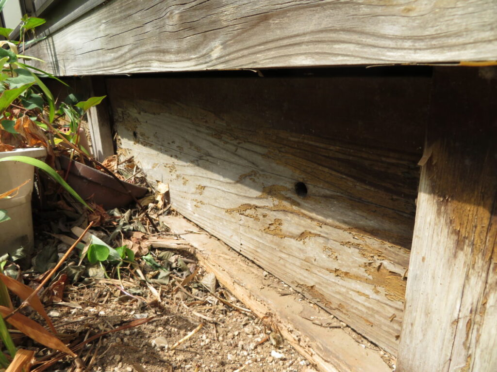 木部の塗膜剥離