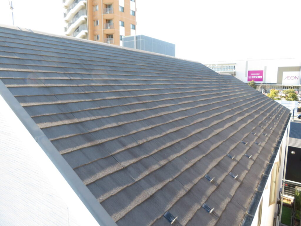 屋根の苔やカビ