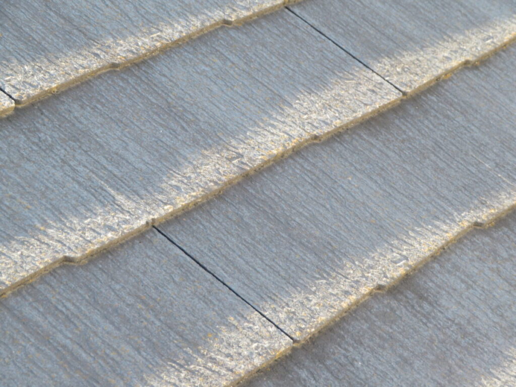 屋根の苔やカビ