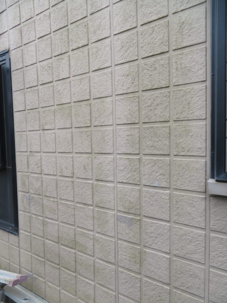 外壁の苔やカビの発生