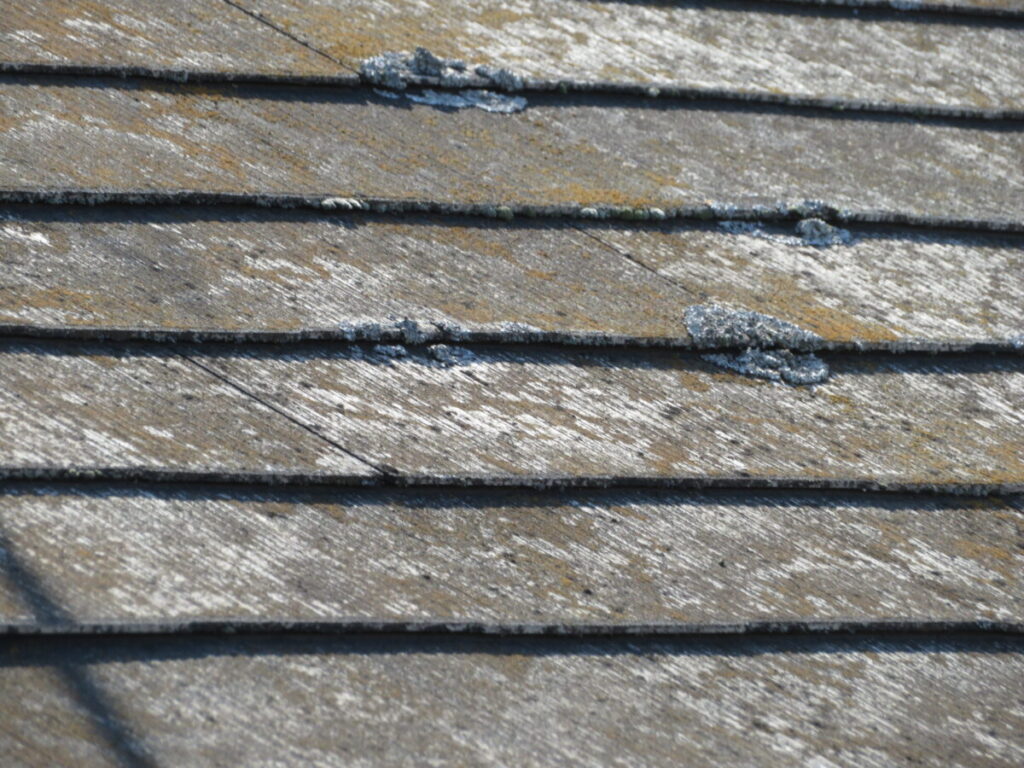 屋根の苔やカビ