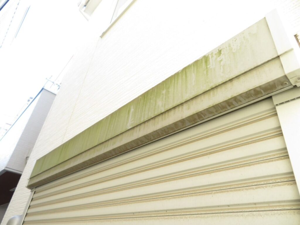 コケなどの発生