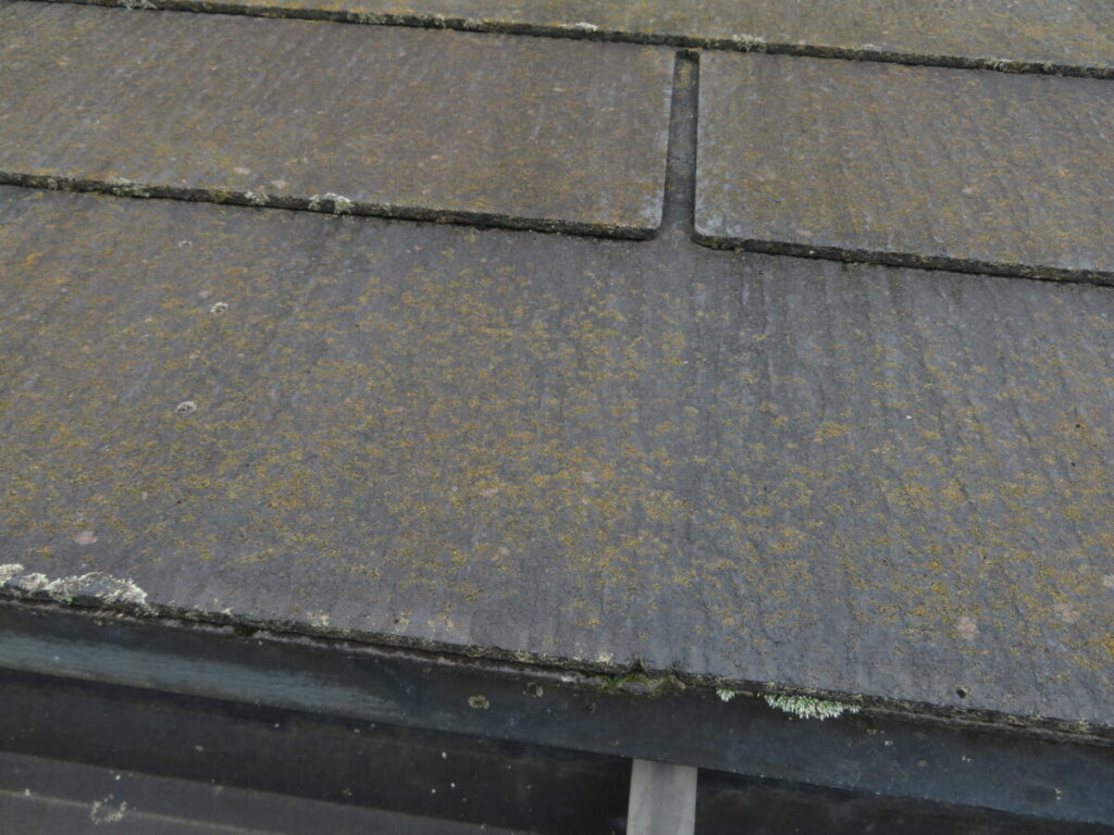 屋根の苔やカビ