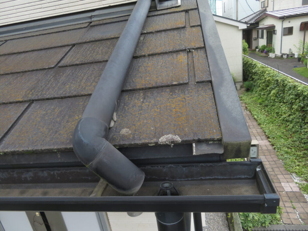 屋根の苔やカビ