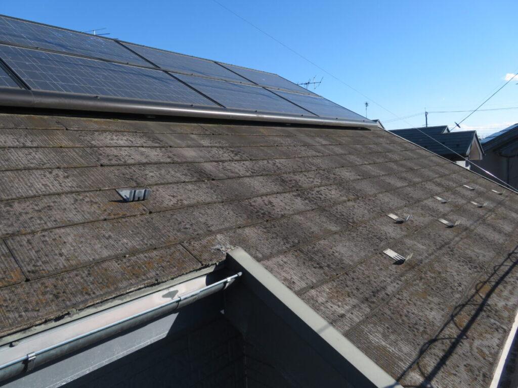 屋根の劣化・コケやカビの発生