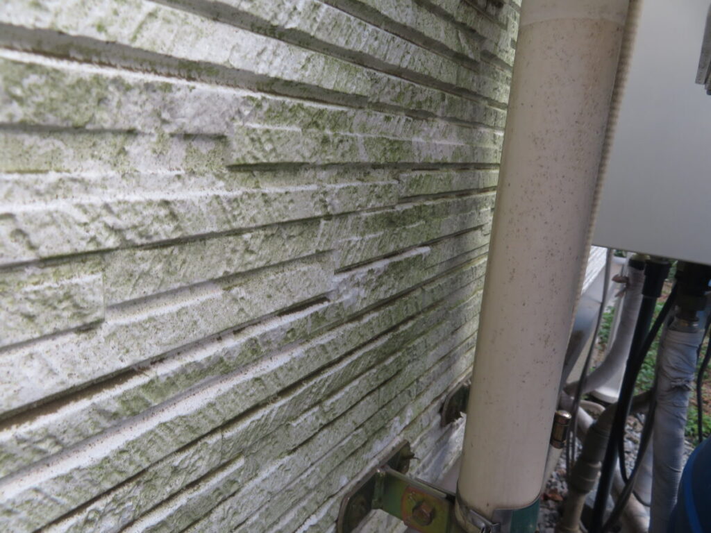施工前外壁苔やカビ