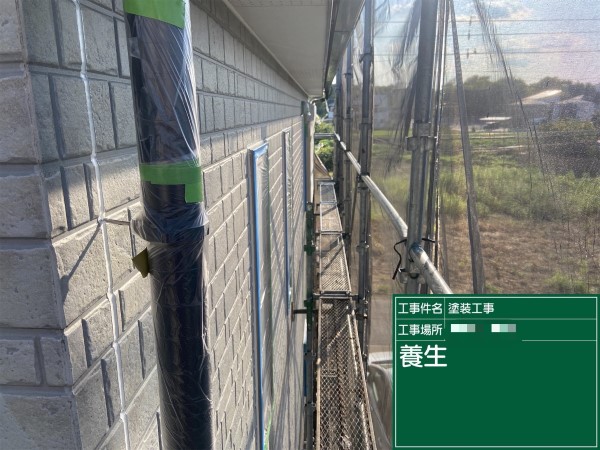 養生